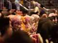 Tn dsc 4528